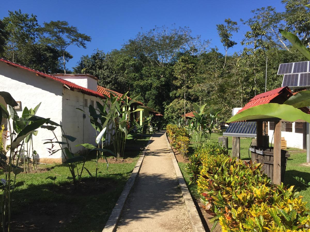 Ecolodge Las Nubes Chiapas Ла-Фортуна-Гальо-Хиро Экстерьер фото
