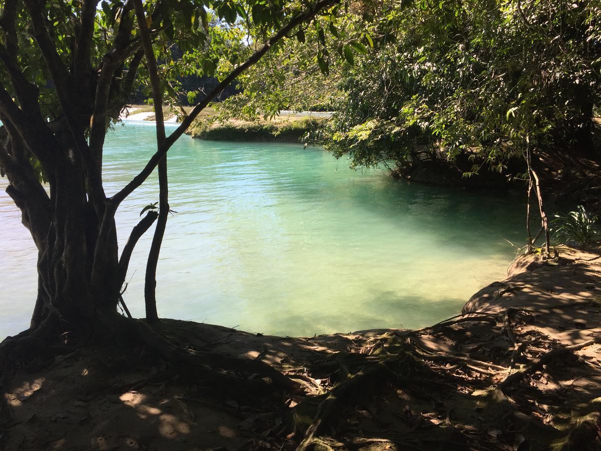 Ecolodge Las Nubes Chiapas Ла-Фортуна-Гальо-Хиро Экстерьер фото