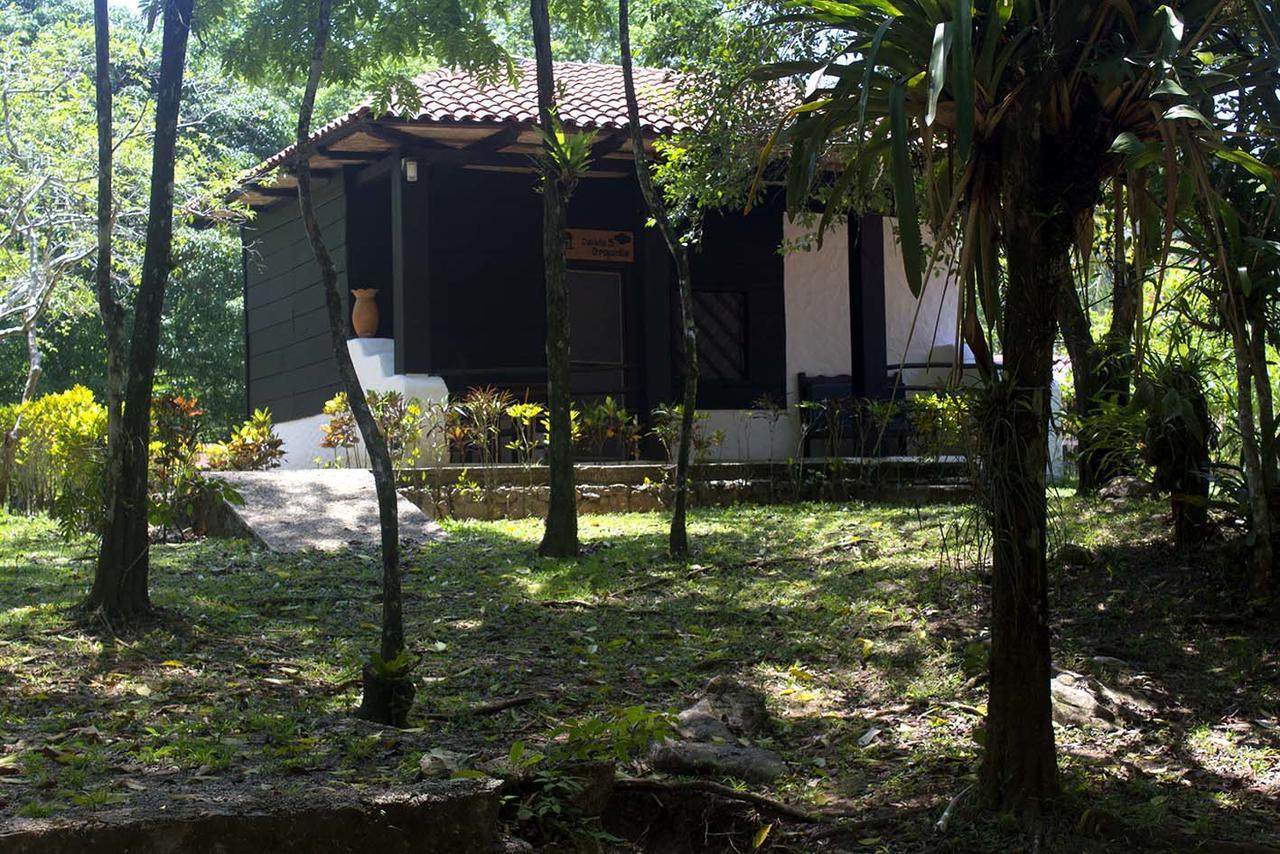 Ecolodge Las Nubes Chiapas Ла-Фортуна-Гальо-Хиро Экстерьер фото